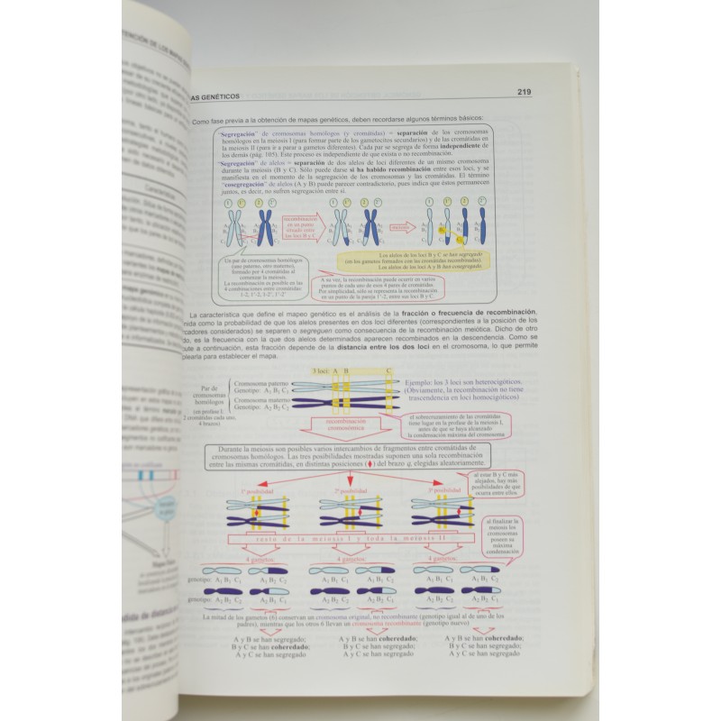 Exto Ilustrado De Biolog A Molecular E Ingenier A Gen Tica Solar Del