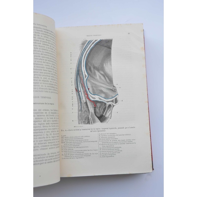 Tratado de anatomía topográfica aplicada a la...