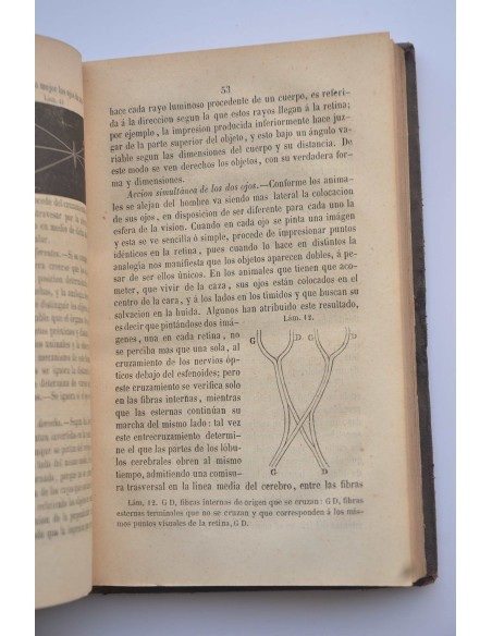 Elementos de fisiología comparada de los animales domésticos