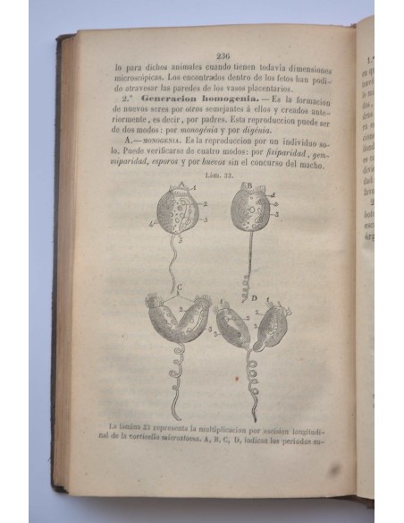 Elementos de fisiología comparada de los animales domésticos