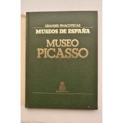 Museo Picasso 2
