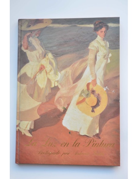 La luz en la pintura