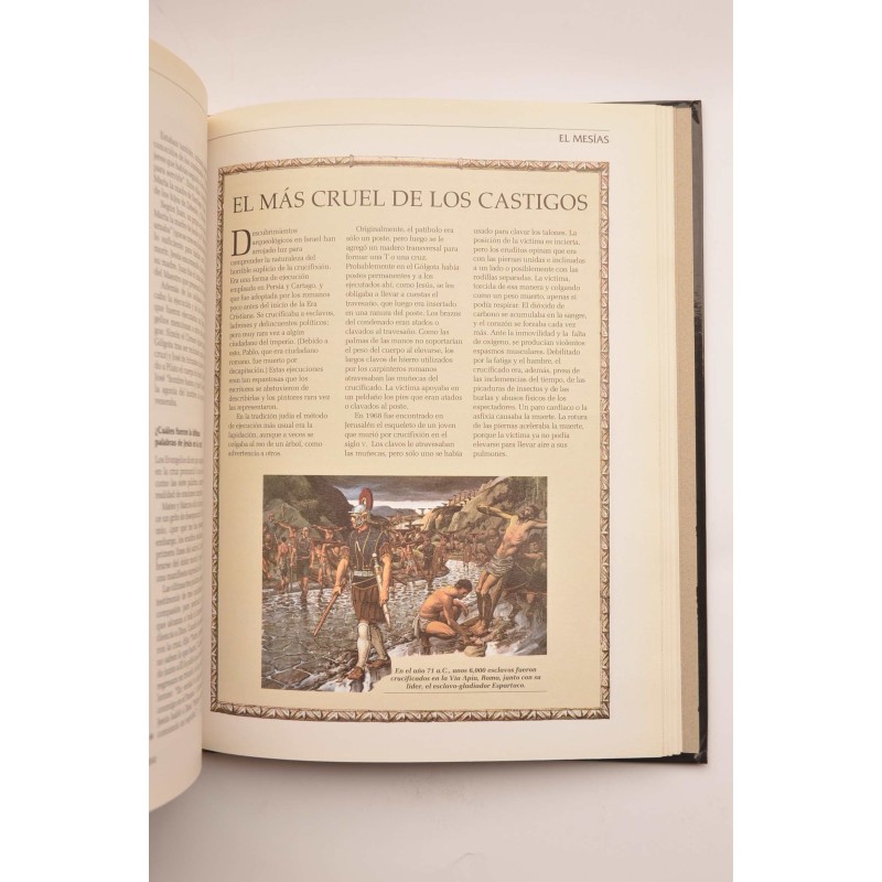 Los porqués de la Biblia