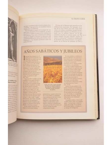 Los porqués de la Biblia