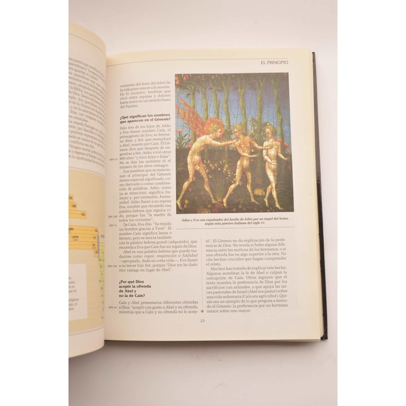 Los porqués de la Biblia