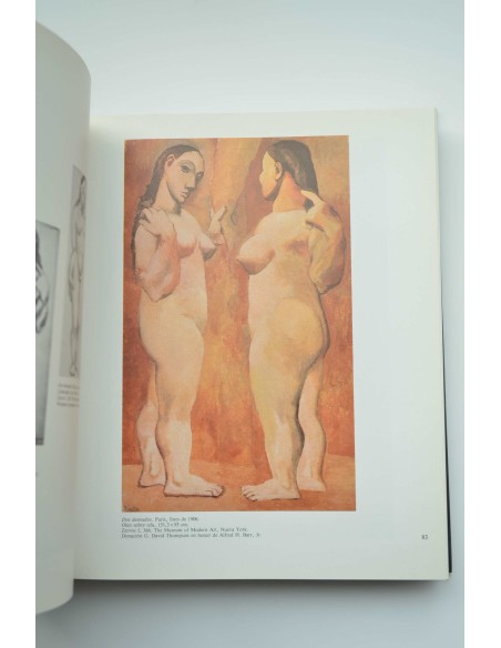 Pablo Picasso: retrospectiva