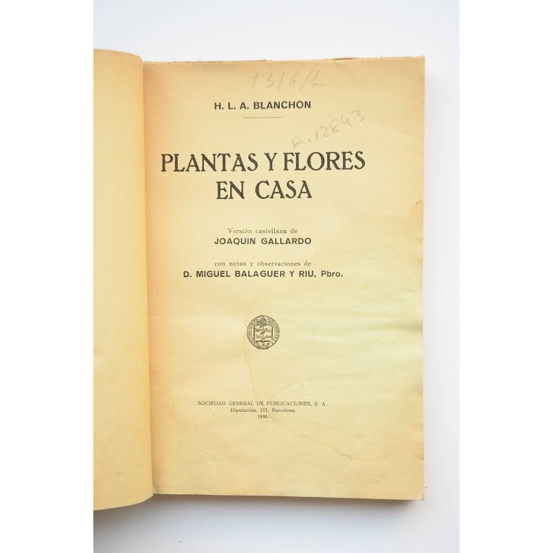 Plantas y flores en casa
