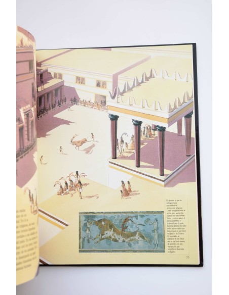 Historia de la Humanidad. Egipto y Grecia Antigua