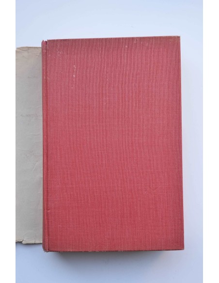 Nuevo catecismo para adultos