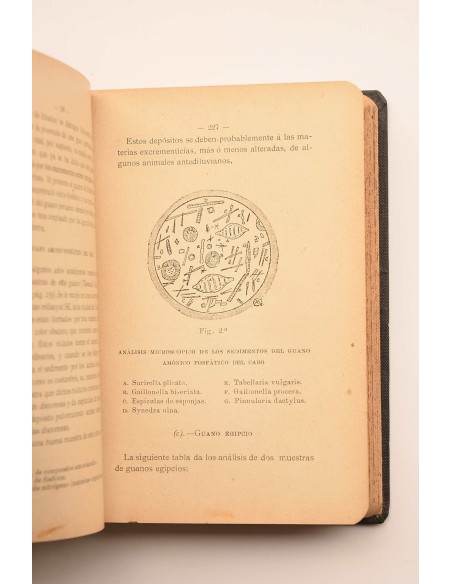 Tratado teórico-práctico de la obtención, fabricación y empleo de los abonos naturales y artificiales : manual práctico para uso