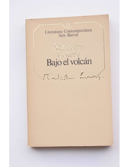 Bajo el volcán