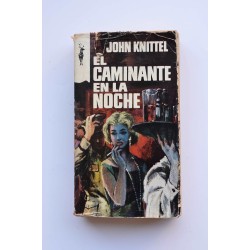 El caminante en la noche