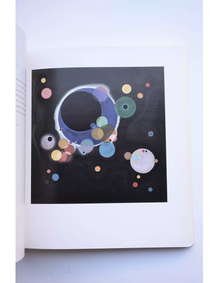 Obras maestras de la Colección Guggenheim : de Picasso a Pollock 