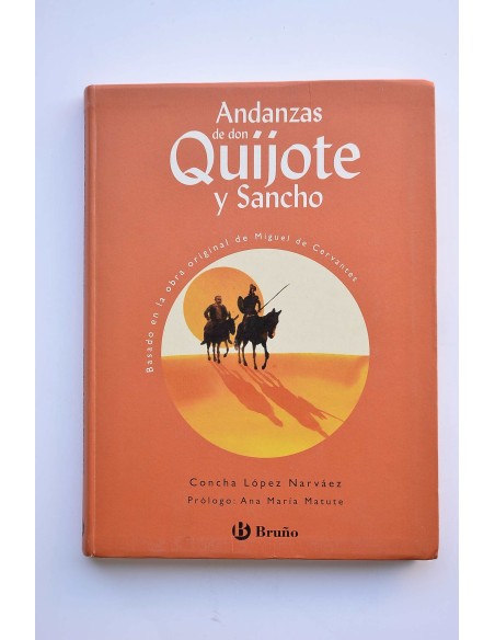 Andanzas de Don Quijote y Sancho 