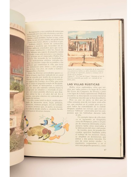 Enciclopedia Disney. La Casa : de la caverna al rascacielos