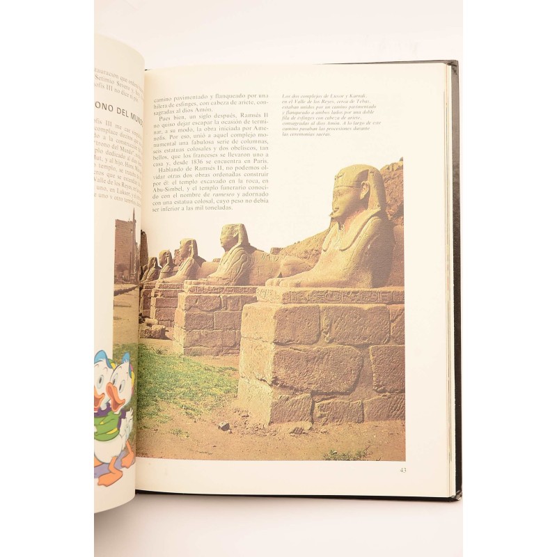 Enciclopedia Disney. La Casa : de la caverna al...