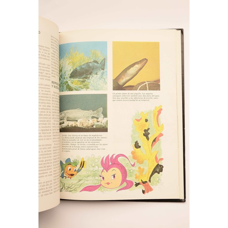 Enciclopedia Disney. Animales : pequeños...