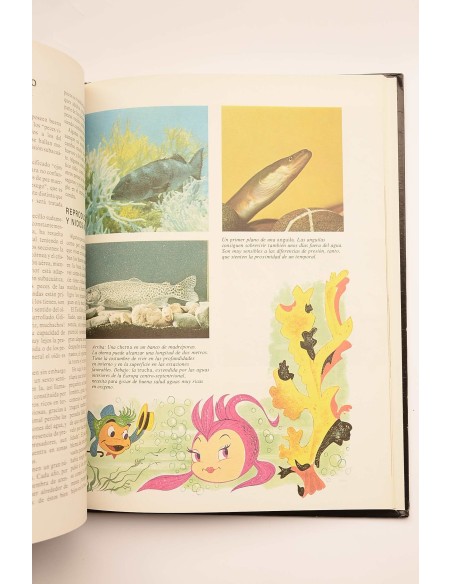 Enciclopedia Disney. Animales : pequeños grandes amigos