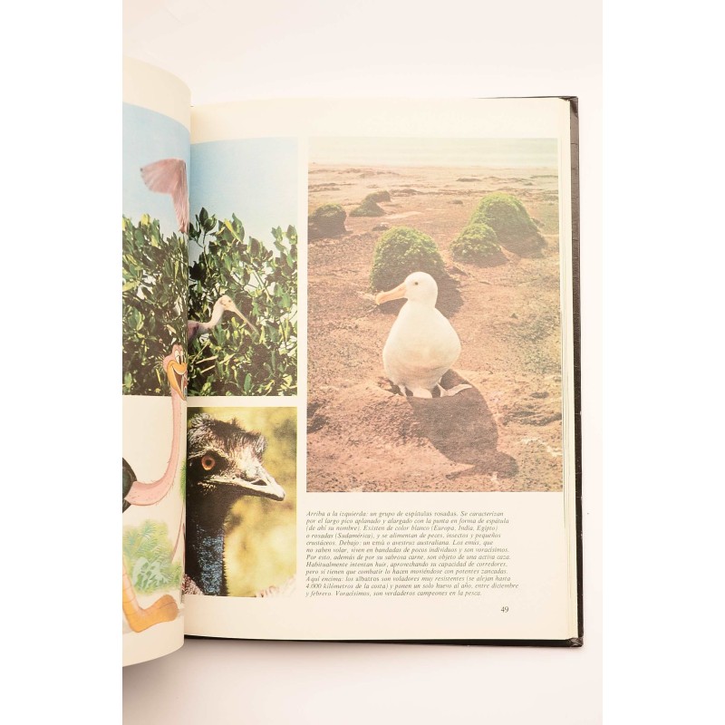 Enciclopedia Disney. Animales : pequeños...