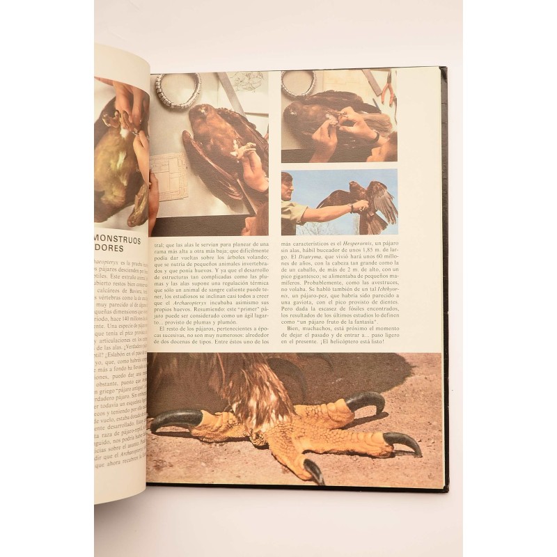 Enciclopedia Disney. Animales : pequeños...