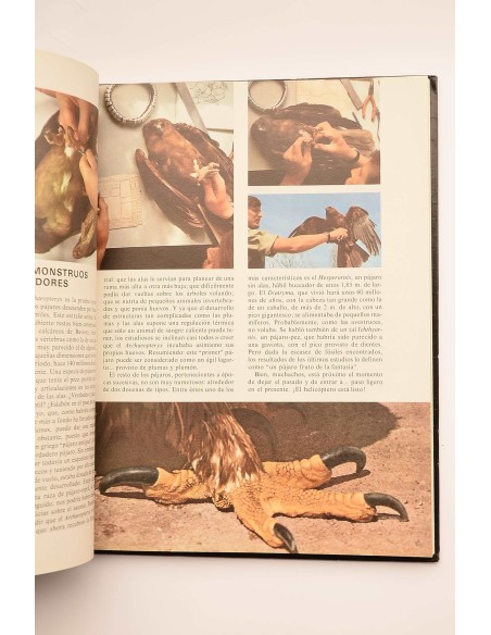 Enciclopedia Disney. Animales : pequeños grandes amigos