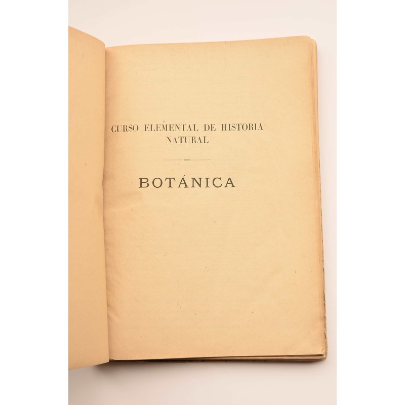 Botánica