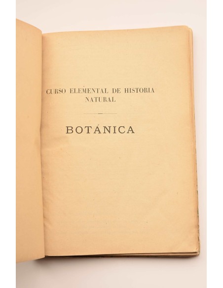 Botánica
