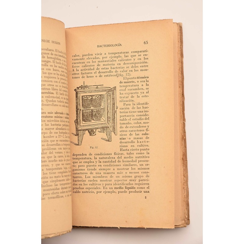 Bacteriología microbios amigos y enemigos del...