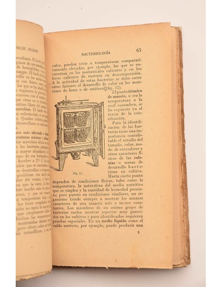 Bacteriología microbios amigos y enemigos del hombre