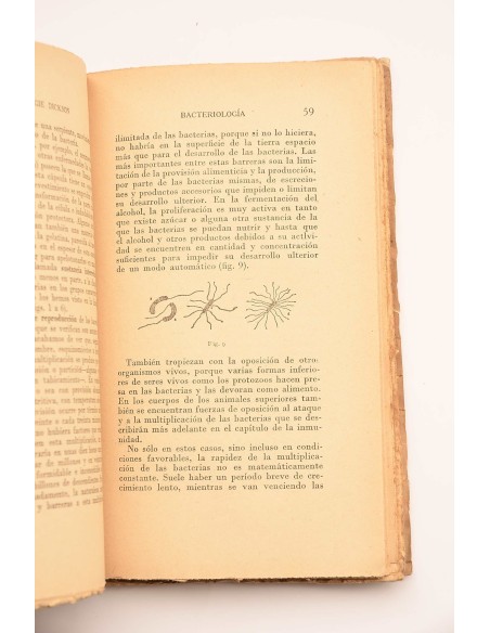 Bacteriología microbios amigos y enemigos del hombre