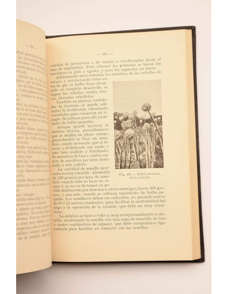 Horticultura general y especial