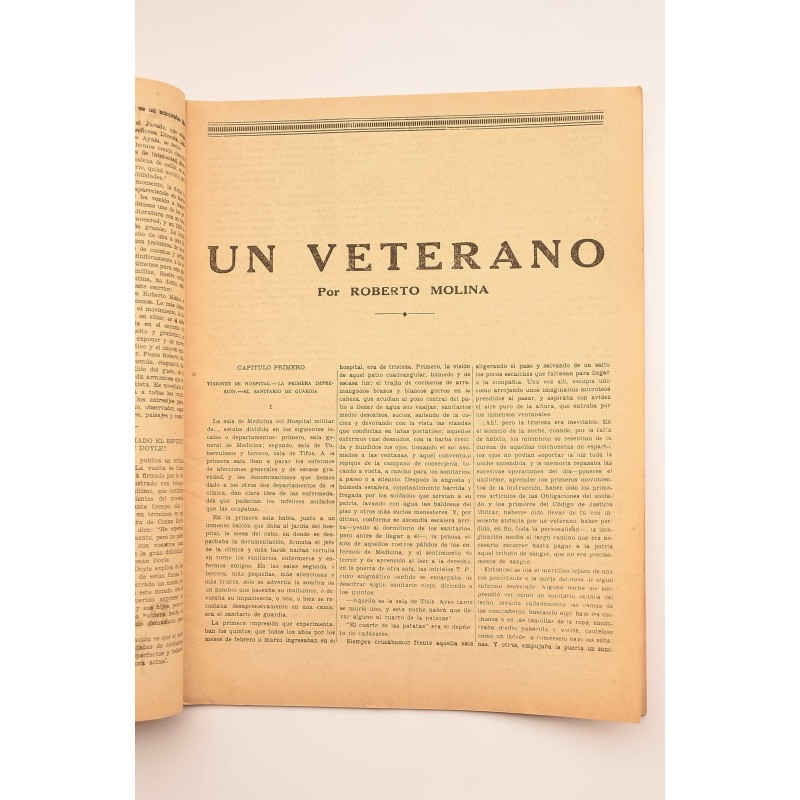 Un veterano : novela de costumbres