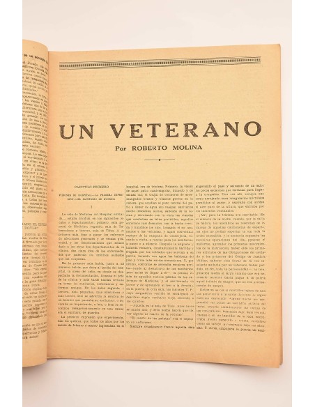 Un veterano : novela de costumbres