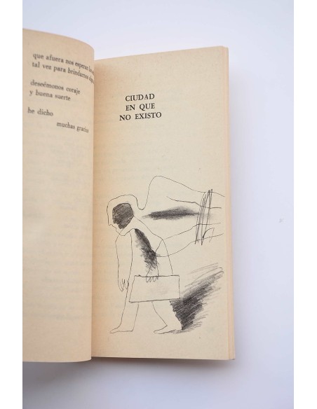 La casa y el ladrillo