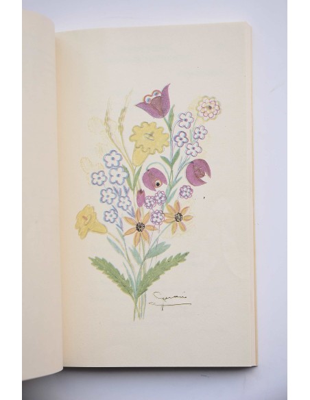 Desnudando madrugadas