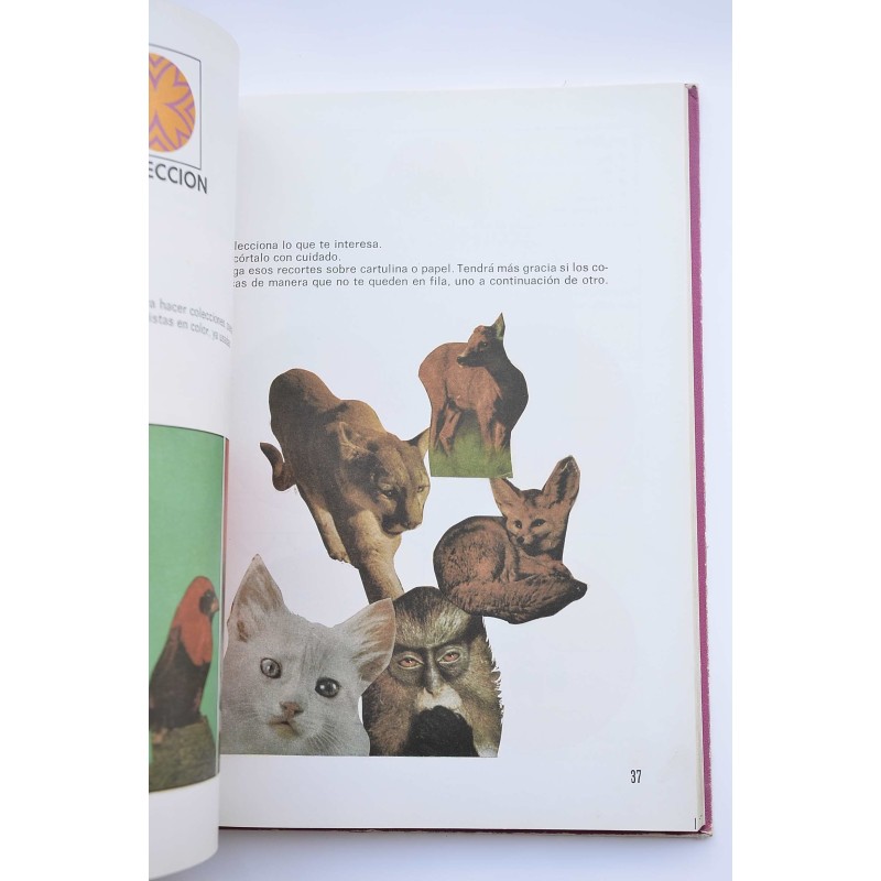 Creaciones con papel