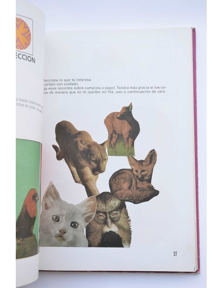 Creaciones con papel