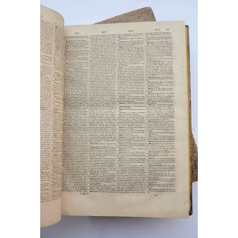 Diccionario Nacional o Gran diccionario de la...