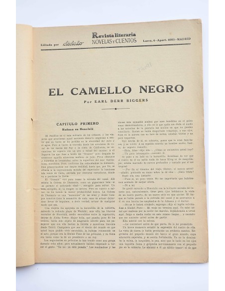 El camello negro