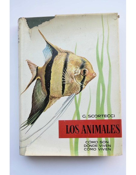 Los animales : cómo son, dónde viven, cómo viven. Vol. IV. Anfibios, peces