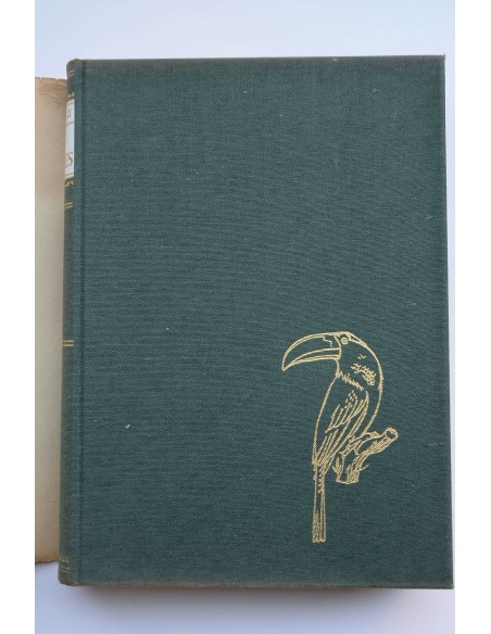 Los animales : cómo son, dónde viven, cómo viven. Vol. III Aves