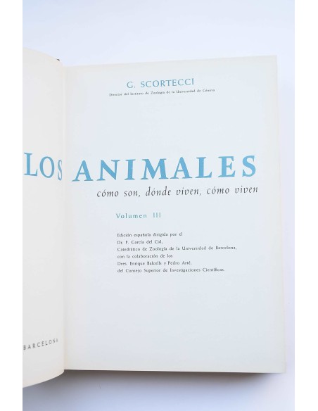 Los animales : cómo son, dónde viven, cómo viven. Vol. III Aves