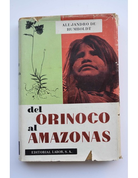 Del Orinoco al Amazonas