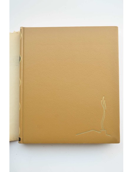 Enciclopedia cumbre del hogar .Tomo I : La casa y sus problemas