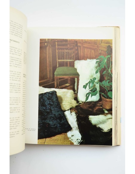 Enciclopedia cumbre del hogar .Tomo I : La casa y sus problemas