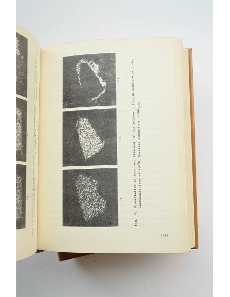 Mineral processing : thirteenth International Mineral Processing Congress, 1979