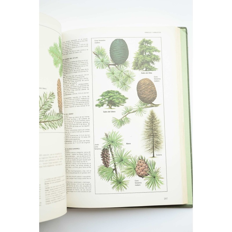 Fascinante naturaleza : el gran libro de los...
