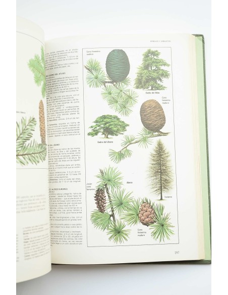 Fascinante naturaleza : el gran libro de los animales y plantas de Europa