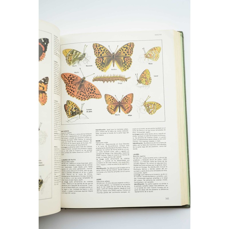 Fascinante naturaleza : el gran libro de los...