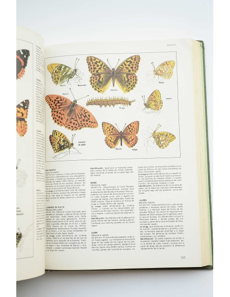 Fascinante naturaleza : el gran libro de los animales y plantas de Europa